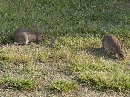 2025-06-09 19-00-13 - P1060251