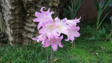 IMG 0504